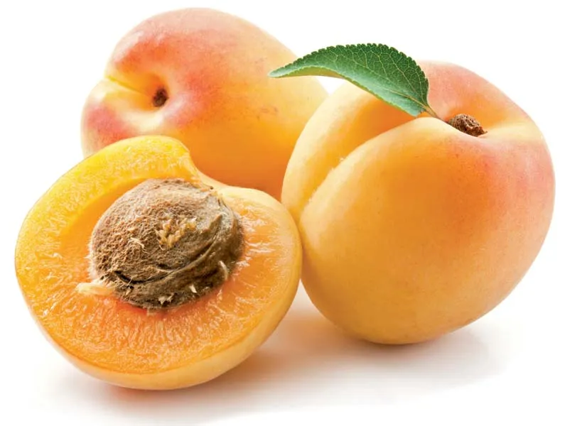 Apricots