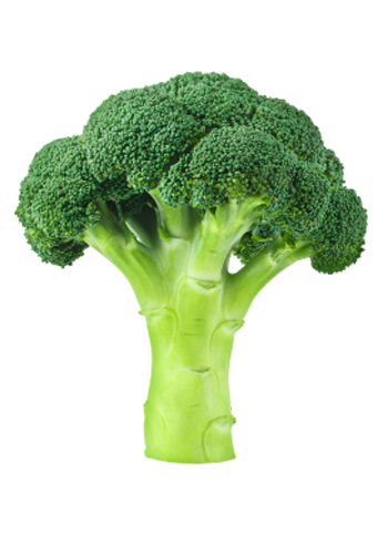 Broccoli