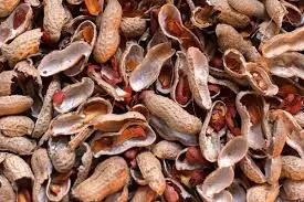 Peanuts Shells